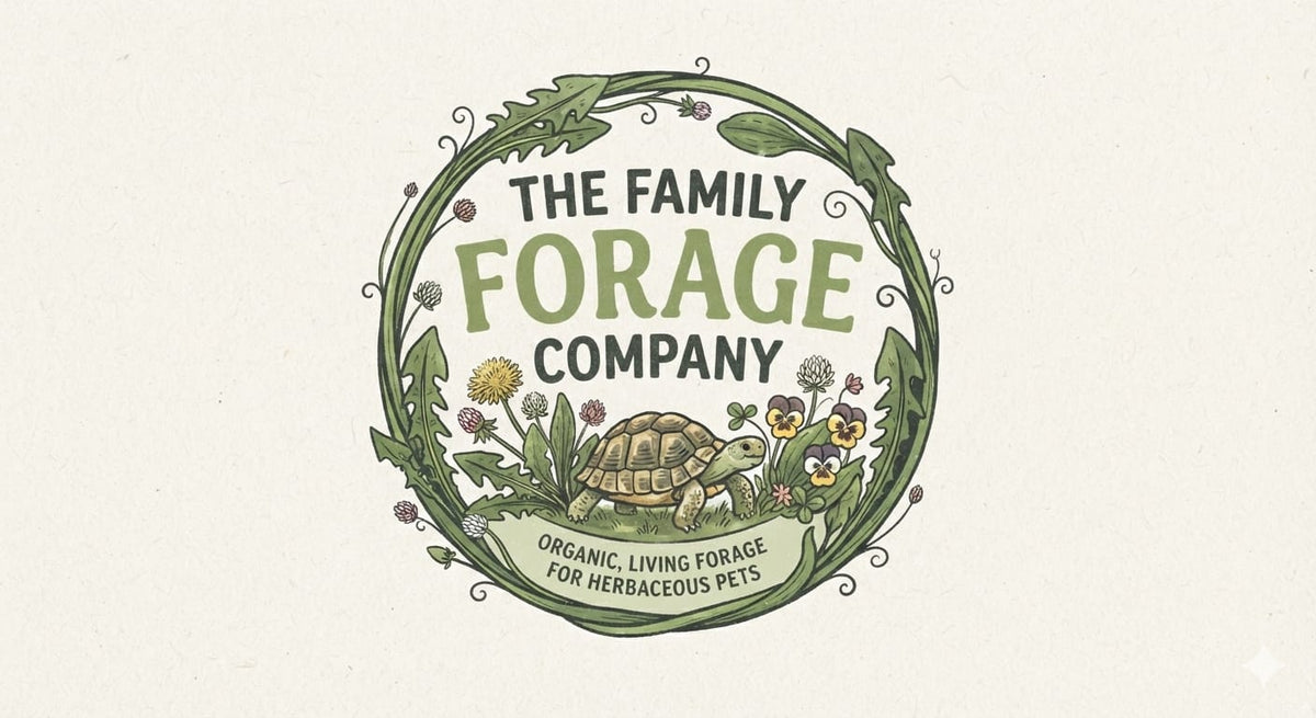 The Family Forage Company